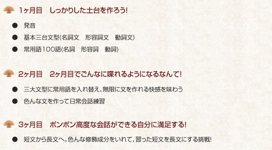 初級完璧コース